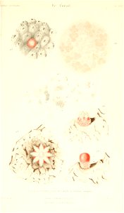 n424_w1150