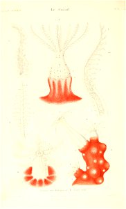 n379_w1150