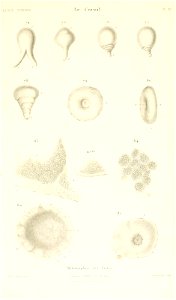 n418_w1150