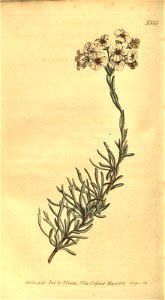 n119_w1150