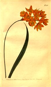 n151_w1150