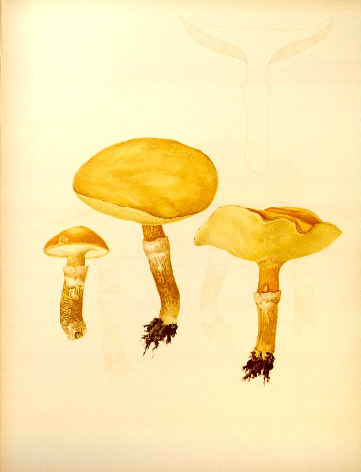 n159_w1150