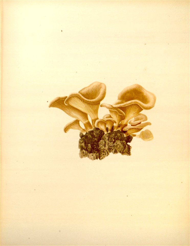 n97_w1150