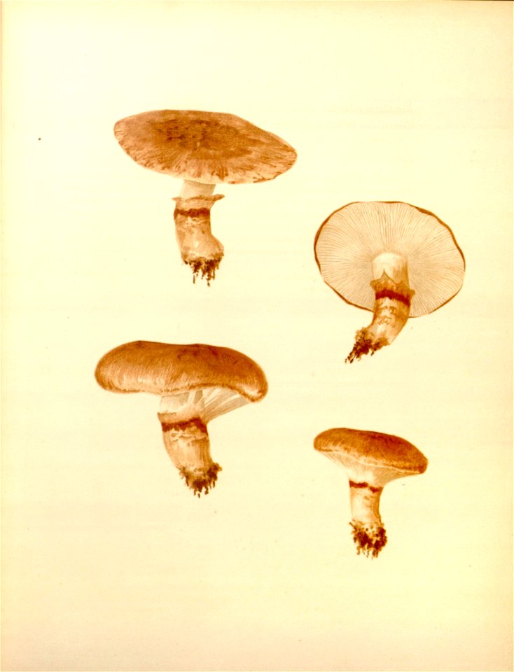 n35_w1150