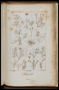 n972_w1150