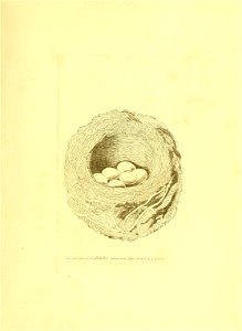 n302_w1150