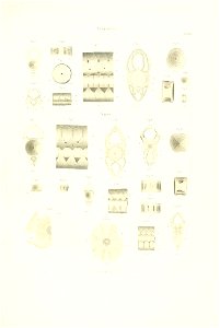 n100_w1150