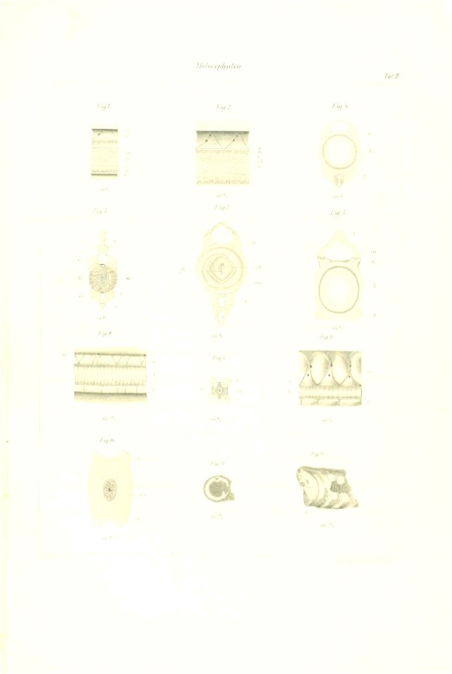 n38_w1150