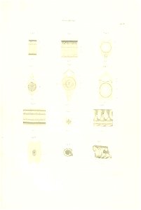 n38_w1150