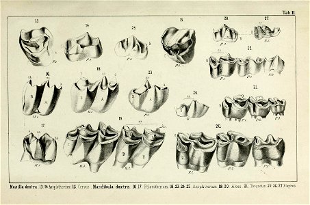 n152_w1150