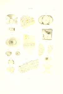 n96_w1150