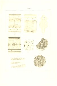 n154_w1150