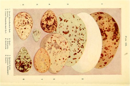 n569_w1150