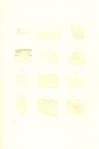 n26_w1150