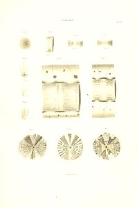 n146_w1150