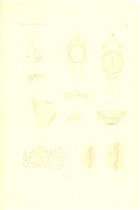n18_w1150