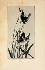 n608_w1150