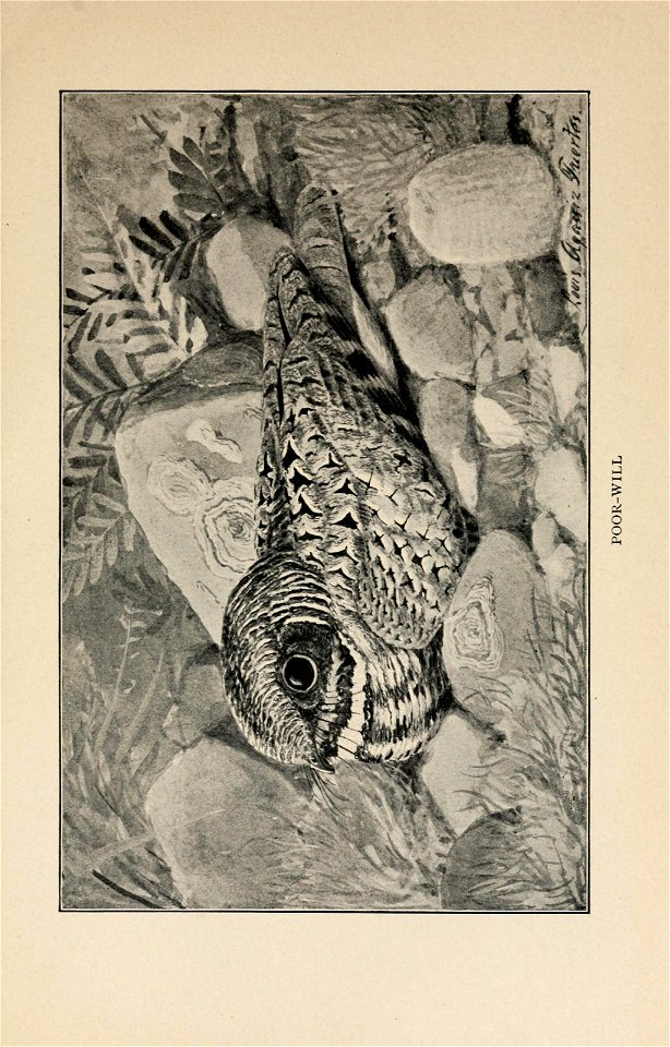 n352_w1150