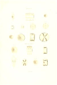 n170_w1150