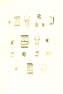 n108_w1150