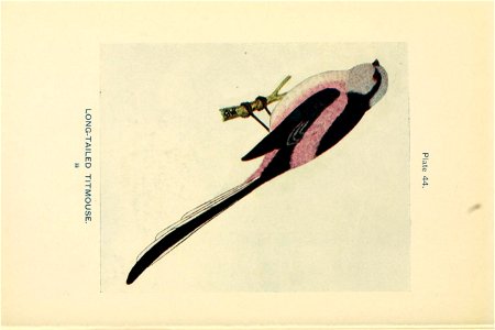 n203_w1150