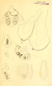 n638_w1150