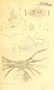 n608_w1150