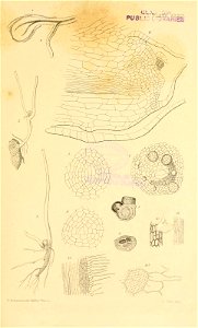 n578_w1150