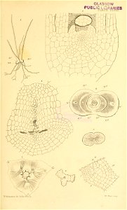 n606_w1150