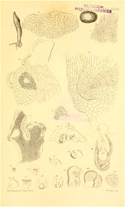 n576_w1150