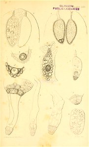 n634_w1150