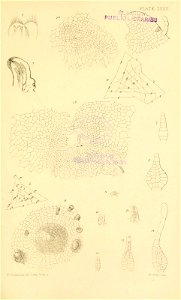 n574_w1150