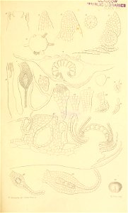 n544_w1150