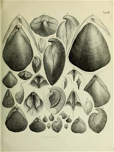 n104_w1150