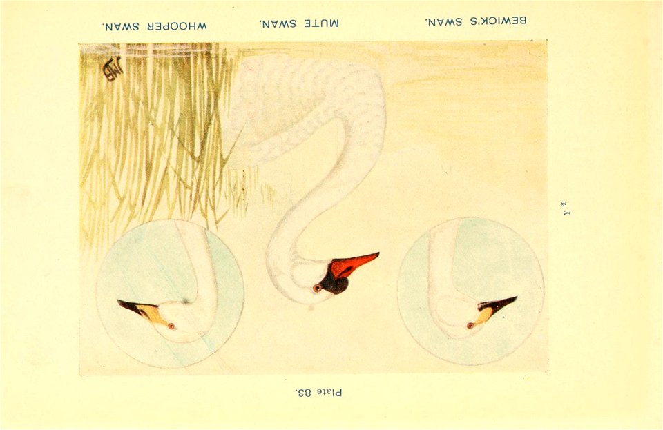 n378_w1150