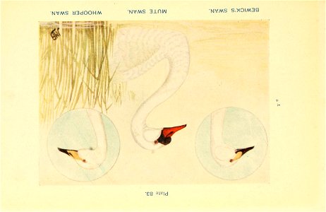n378_w1150