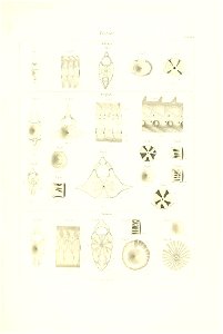 n116_w1150