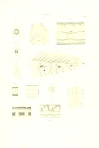 n54_w1150