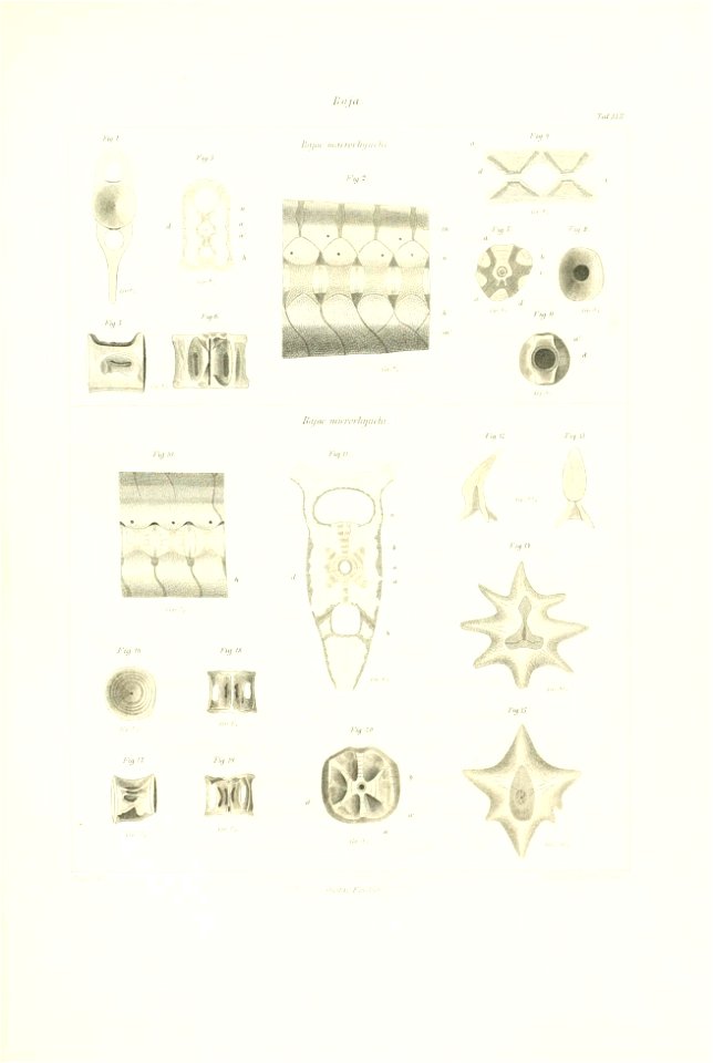 n112_w1150