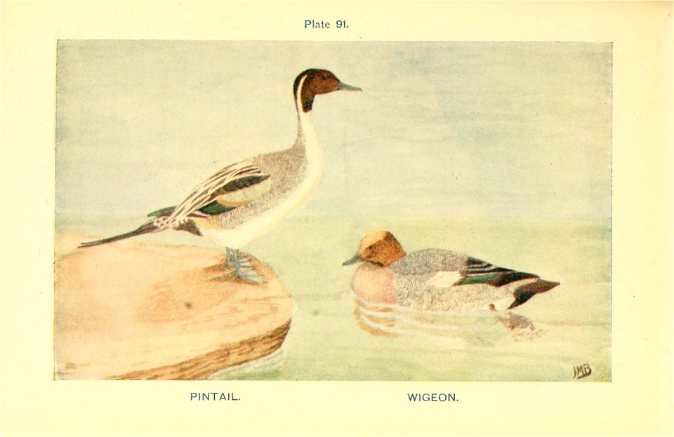 n400_w1150