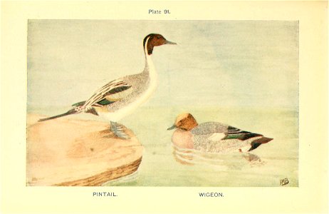 n400_w1150