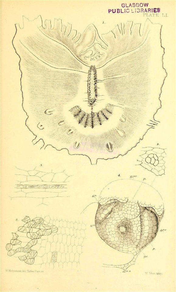 n612_w1150