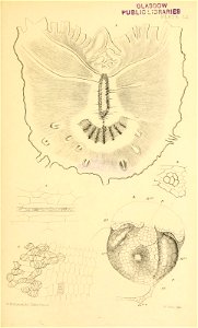 n612_w1150