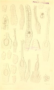 n552_w1150