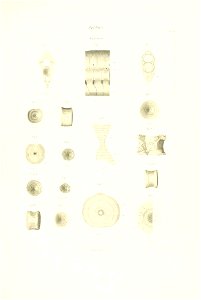 n104_w1150