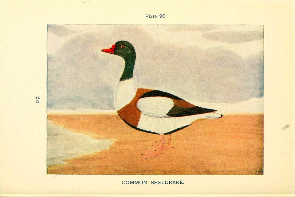 n399_w1150