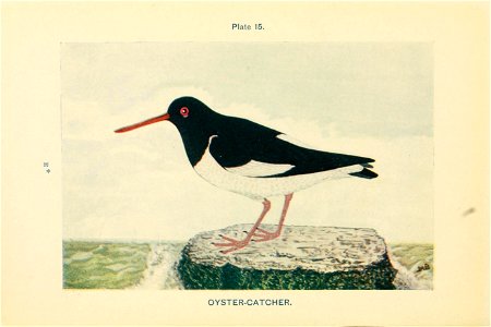 n69_w1150