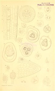 n518_w1150