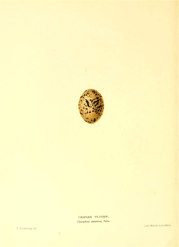 n315_w1150