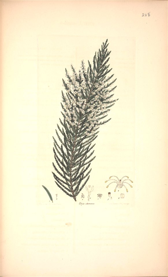 n131_w1150